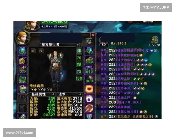 魔兽世界奶骑：输出与治疗的双重职业